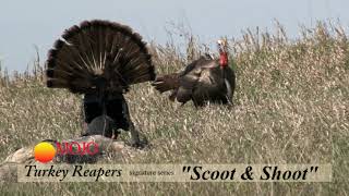 GAME CHANGER for Turkey Hunting  MOJO ScootNShoot [upl. by Refinne]