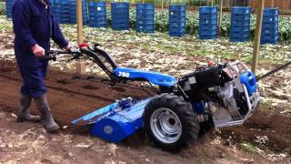 BCS 750  Pasquali XB50 tuinfrees  motoculteur bij wwwtuinmachinescom [upl. by Eentirb]