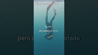 Esta es la clave para practicar apnea  Miguel Lozano apnea freediving deporte resistencia [upl. by Macleod145]