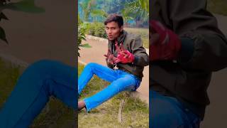 बजता बड़ी सुपर Gori ho duno buffar Singer golua jagwa shorts Pramod premi song [upl. by Ainezey]