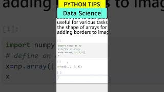 Numpy Python Padding an Array  coding pythonprogramming shorts virial datascience DESI ASTRO [upl. by Silas]