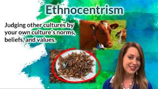 Ethnocentrism amp Cultural Relativism Professor Marie Huntsinger [upl. by Yttisahc319]