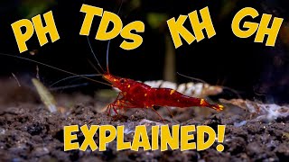 Shrimp Water Parameters Explained pH GH KH and TDS [upl. by Engvall422]