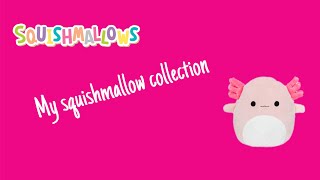 My Squishmallow Collection [upl. by Oemac330]