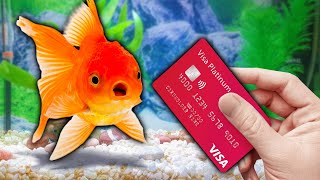 I Gave My Goldfish My Credit Card to Spend [upl. by Adnar68]