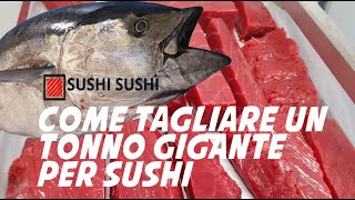 Come tagliare un tonno gigante per sushi [upl. by Beryle188]