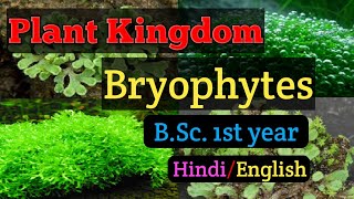 Bsc first year Botany Paper second General Characters of Bryophytes MGKVP Bsc 1st year Botany [upl. by Stockton]