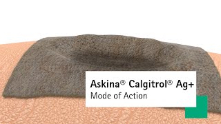 Askina® Calgitrol® Ag Wound Dressing – Mode of Action [upl. by Emilia]