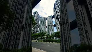 PINNACLE  DUXTON A public HDB with 50th floor and skybridge [upl. by Corena]