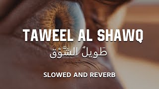 Taweel Al Shawq  Slowed  Reverb 💙 [upl. by Ynffit]