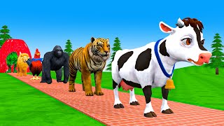 Paint amp Animals CowTigerdinosaurLionElephant Fountain Crossing Transformation Animal Cartoon [upl. by Christalle]