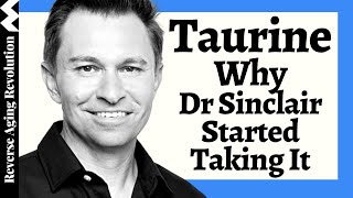 WHY Dr David Sinclair Added TAURINE To His Regimen amp His Dosage [upl. by Dlabihcra]