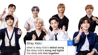 Stray Kids Answer the Webs Most Searched Questions  WIRED [upl. by Etnuaed]