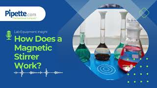 How Does a Magnetic Stirrer Work [upl. by Namlas191]