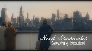 Newt Scamander  Something Beautiful [upl. by Eenolem]