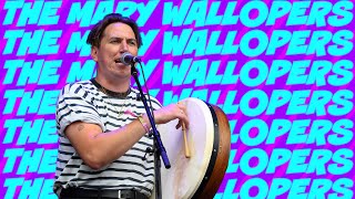 The Mary Wallopers Perform The Holy Ground Live At TRNSMT  TRNSMT 2023  BBC Scotland [upl. by Aryc]