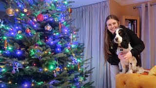 DECORATING THE CHRISTMAS TREE  VLOGMAS [upl. by Jacques656]