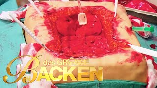 Überwindung ist angesagt  Das große Backen Halbfinale 2015  SAT1 [upl. by Adekam]