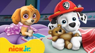 PAW Patrol Sleepy Marathon 😴 10 Minute Compilation  Nick Jr [upl. by Aiynot]