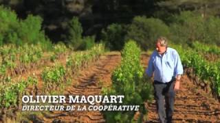 FRANCE 3  Le vignoble de Bandol [upl. by Refenej983]