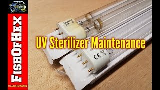 Jebao 55w UV Sterilizer Yearly Bulb Change [upl. by Malek]