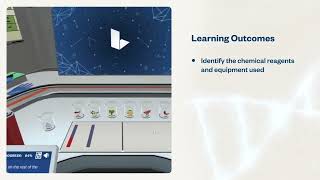 Litmus Test for Carboxylic Acids  Virtual Lab [upl. by Hammel]