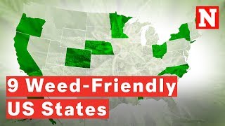 Nine States Where You Can Legally Smoke Weed In The US [upl. by Ekle]