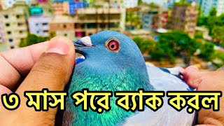 একটি বাচ্চা তিন মাস পরে ব্যাক করল [upl. by Laina]