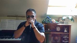 Tougher Than The Rest  Bruce Springsteen Full harmonica cover [upl. by Anirtek]