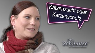 Katzenzucht oder Katzenschutz Frei nach Schnauze mit Claudia Ludwig [upl. by Vallo]