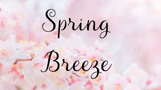 neue mittelschwere Klavierstücke amp Noten Spring Breeze Piano Solo  Frühlingsalbum  S Labsch [upl. by Karilla]