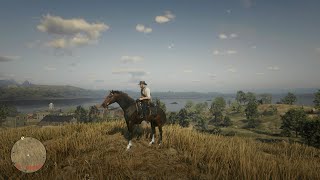 RDR2 Turkoman Horse Location  Turkoman [upl. by Anirrehs]