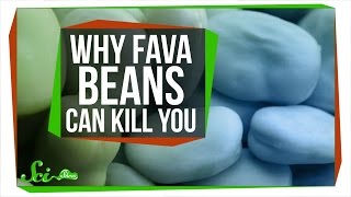 Why Fava Beans Can Kill You [upl. by Shakespeare]