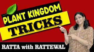 PLANT KINGDOM  Super Easy Tricks  Part 1  Ritu Rattewal [upl. by Tnairb]