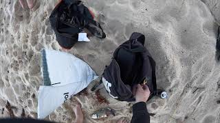 Beach fishing in Ulladulla NSW [upl. by Bachman]