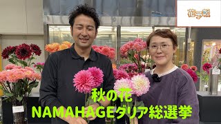 【NAMAHAGEダリア総選挙！】花予報2024年1014～1020 [upl. by Darla]