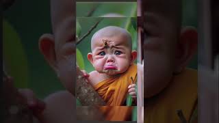 So Cute Baby Monk 🤗🤗 Little Baby Monk 🥰🥰 yutubeshort viral shorts whatsapp viral shortvideos [upl. by Chrisman365]