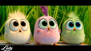 JGeco  Chicken Song  The Angry Birds  Music Video HD [upl. by Joselow]