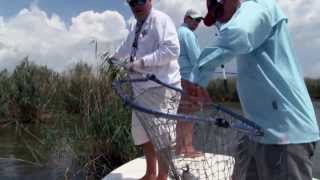 Saltwater Fishing in Louisiana  1405 [upl. by Cosma]