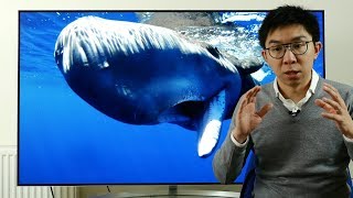 How to Watch Blue Planet 2 in 4K HLG HDR  Comparison vs SDR [upl. by Aillicsirp925]