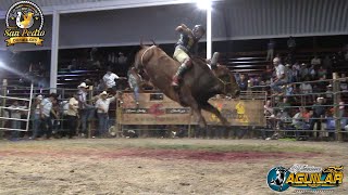 Llego la ganadería de casaLos toros guerreros de Rancho San Pedro De Olinala Gro 8 sep 2024 [upl. by Stonwin171]