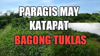 BAGONG TUKLAS MABAGSIK SA PARAGIS ALL IN ONE PAMATAY DAMO [upl. by Barton]