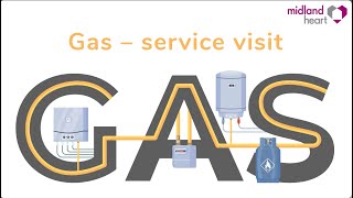 Gas service check [upl. by Isbel850]