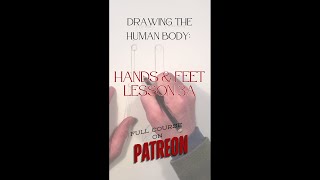 Drawing the Human Body Hands and Feet Brachioradialis Muscle figuredrawing drawing figurestudy [upl. by Cosma145]