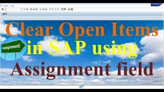 How to clear Open Items using Assignment field in SAP [upl. by Kleeman]