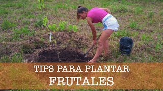 Consejos para el PLANTIO de FRUTALES [upl. by Gipps]