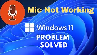 How to Fix Microphone Not Working on Windows 10 2024 [upl. by Leumhs125]