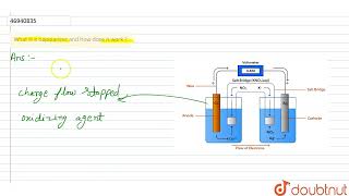 What is a depolarizer and how does it work   CLASS 7  Electricity  PHYSICS  Doubtnut [upl. by Gusta]