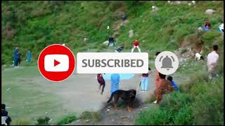 Circket Video In Manshera His Firend  Subscribe Here Channel About New Video [upl. by Kcirad]