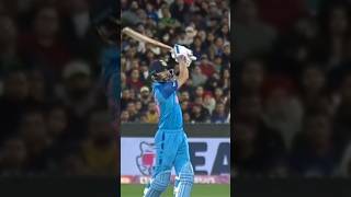 King Kohli ❤️❤️cricket shorts viralreelsシ viralshorts shortvideo2024 cricketlover [upl. by Anelim]